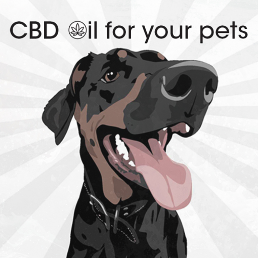 Cannalife CBD Oil for Pets